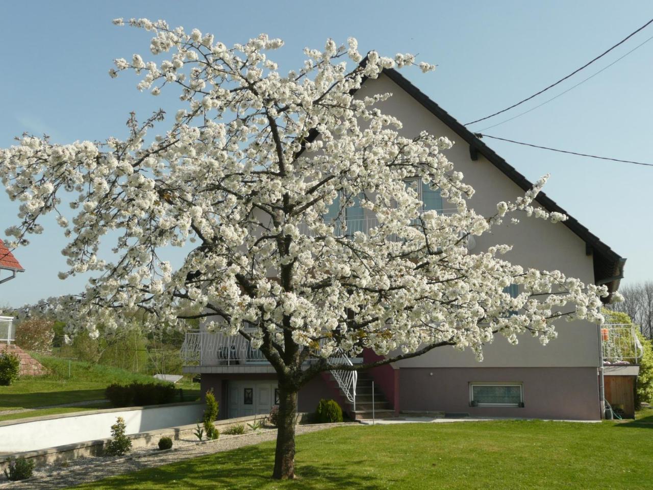 Chez Anny Et Jean Au Mittelbuehl-Reichshoffen Bed and Breakfast Εξωτερικό φωτογραφία