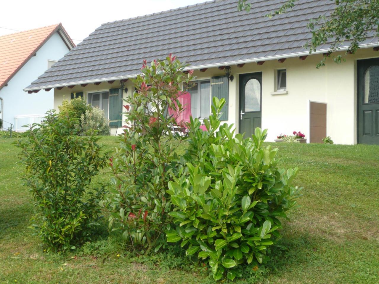 Chez Anny Et Jean Au Mittelbuehl-Reichshoffen Bed and Breakfast Εξωτερικό φωτογραφία