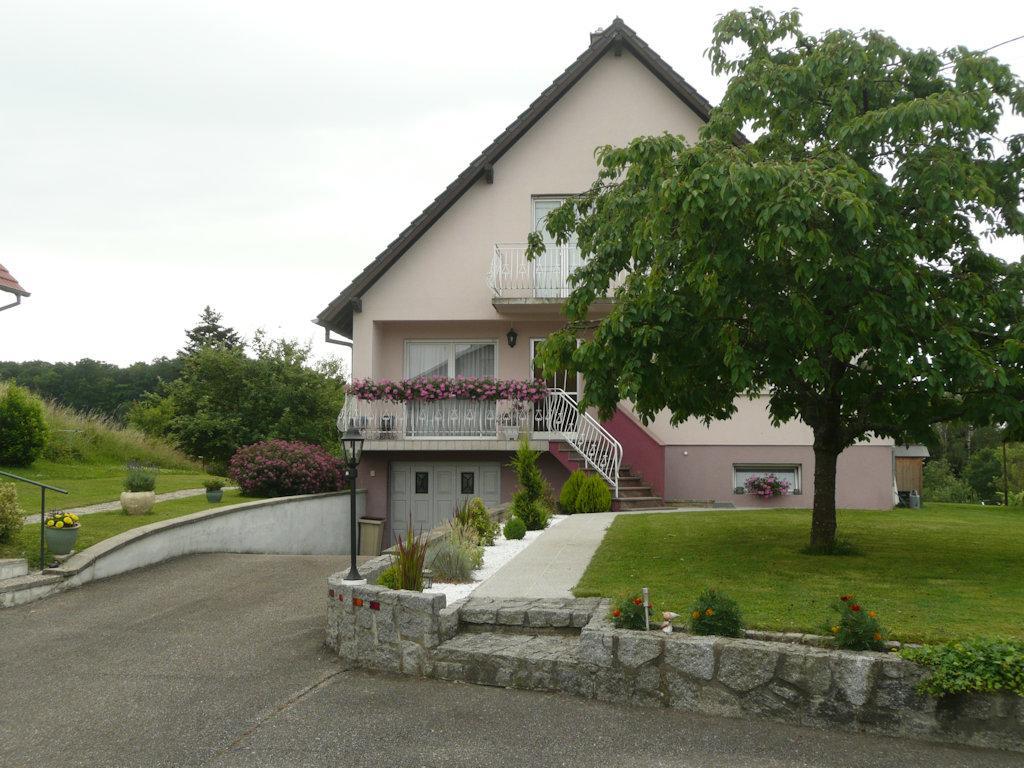 Chez Anny Et Jean Au Mittelbuehl-Reichshoffen Bed and Breakfast Εξωτερικό φωτογραφία