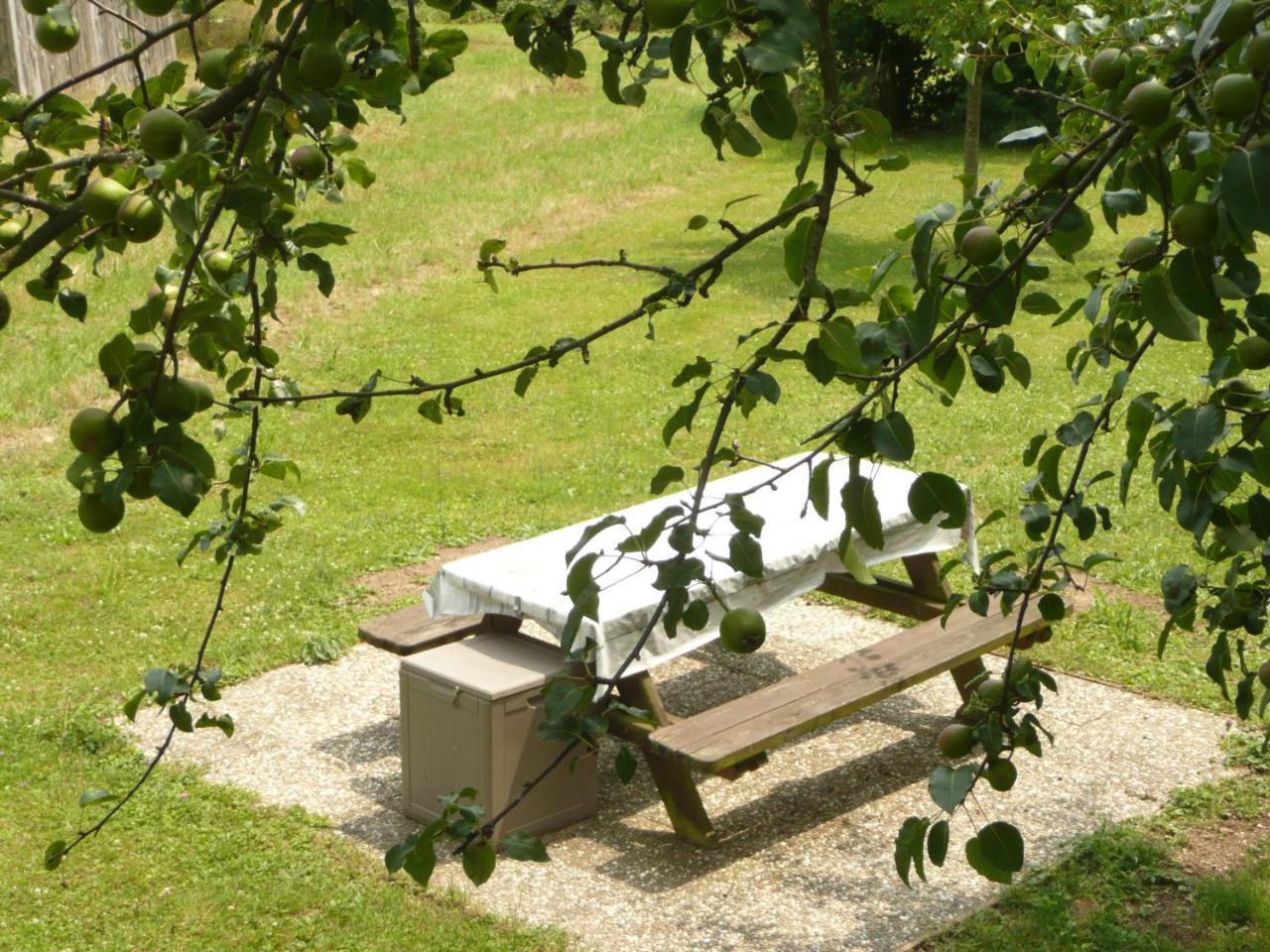 Chez Anny Et Jean Au Mittelbuehl-Reichshoffen Bed and Breakfast Εξωτερικό φωτογραφία
